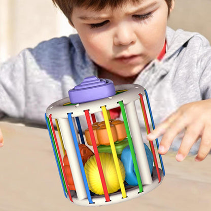 Blocos de Classificação Montessori: Brinquedo Educativo Colorido para Aprendizagem do bebê