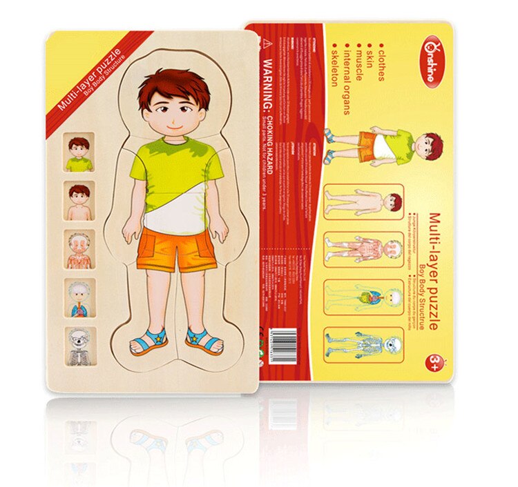 Quebra-Cabeça Montessori do Corpo Humano