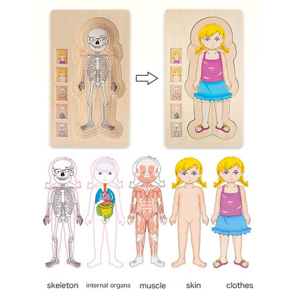 Quebra-Cabeça Montessori do Corpo Humano